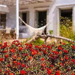 House Of Harmony - Beachfront Semesterbostad Antiparos