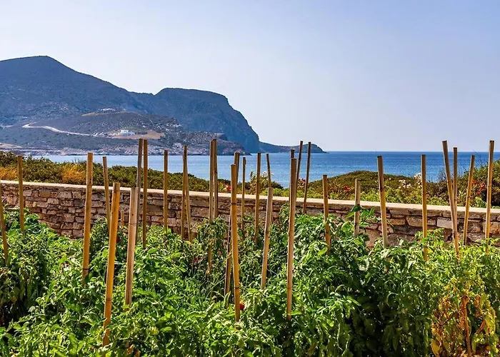 Tatil Evi House Of Harmony - Beachfront